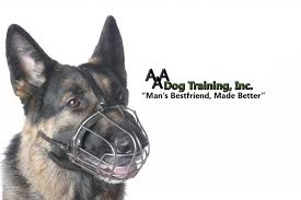 Dog Training York PA